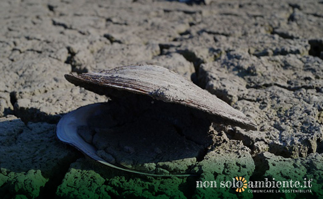 Solo l’uomo può fermare la possibile desertificazione italiana