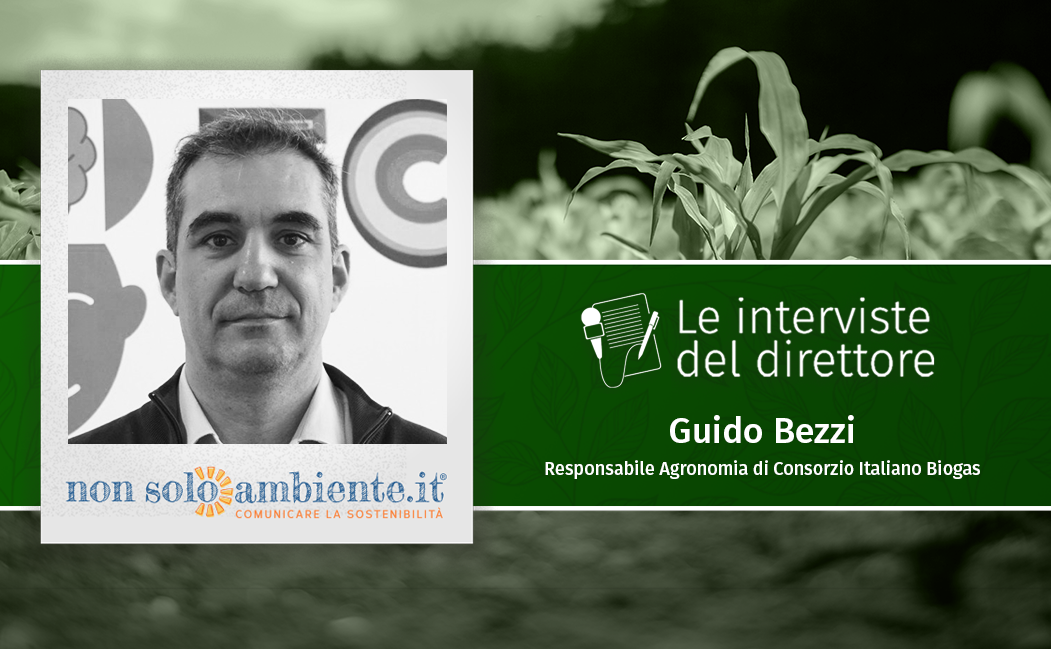 Le Interviste del Direttore: Guido Bezzi