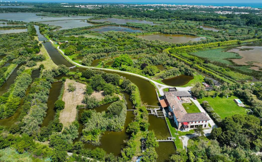 Come le api stanno ricostruendo la biodiversità a Bibione